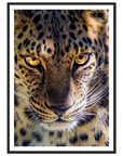 Fearless Leopard art frame poster