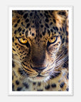 Fearless Leopard art frame poster - SKANDINAVER