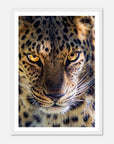 Fearless Leopard art frame poster - SKANDINAVER