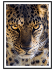 Fearless Leopard art frame poster - SKANDINAVER