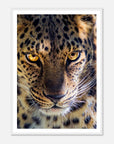 Fearless Leopard art frame poster