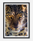 Fearless Leopard art frame poster