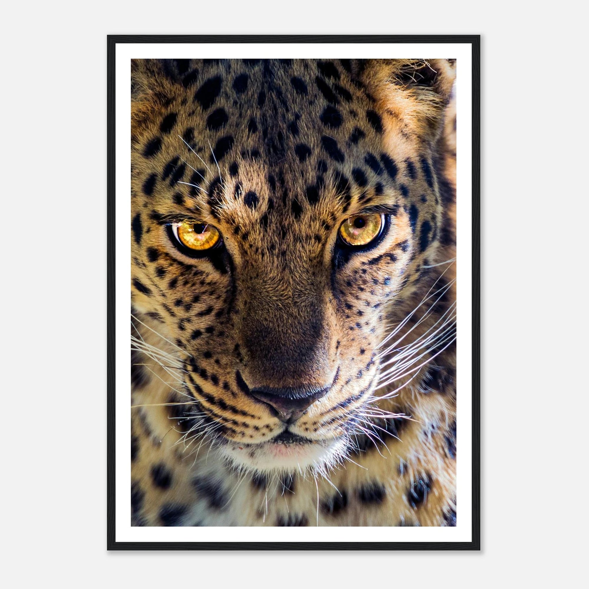 7775cedd-798c-423c-a574-5d44787a754d