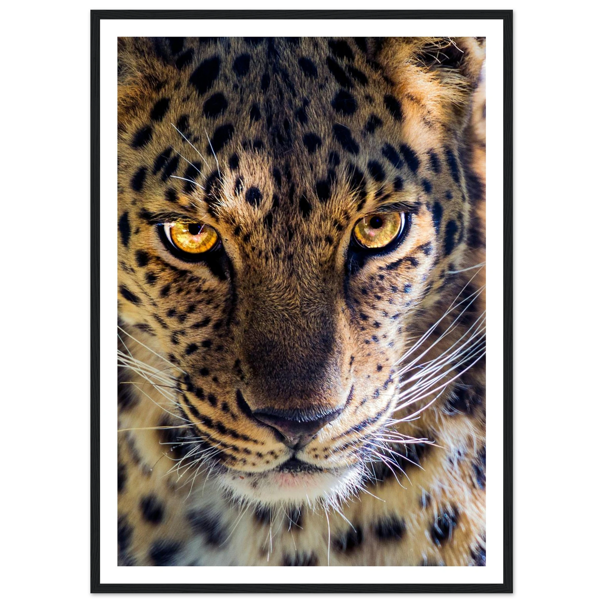 8cc57006-93b1-4ba4-8881-0e6f39a800fd