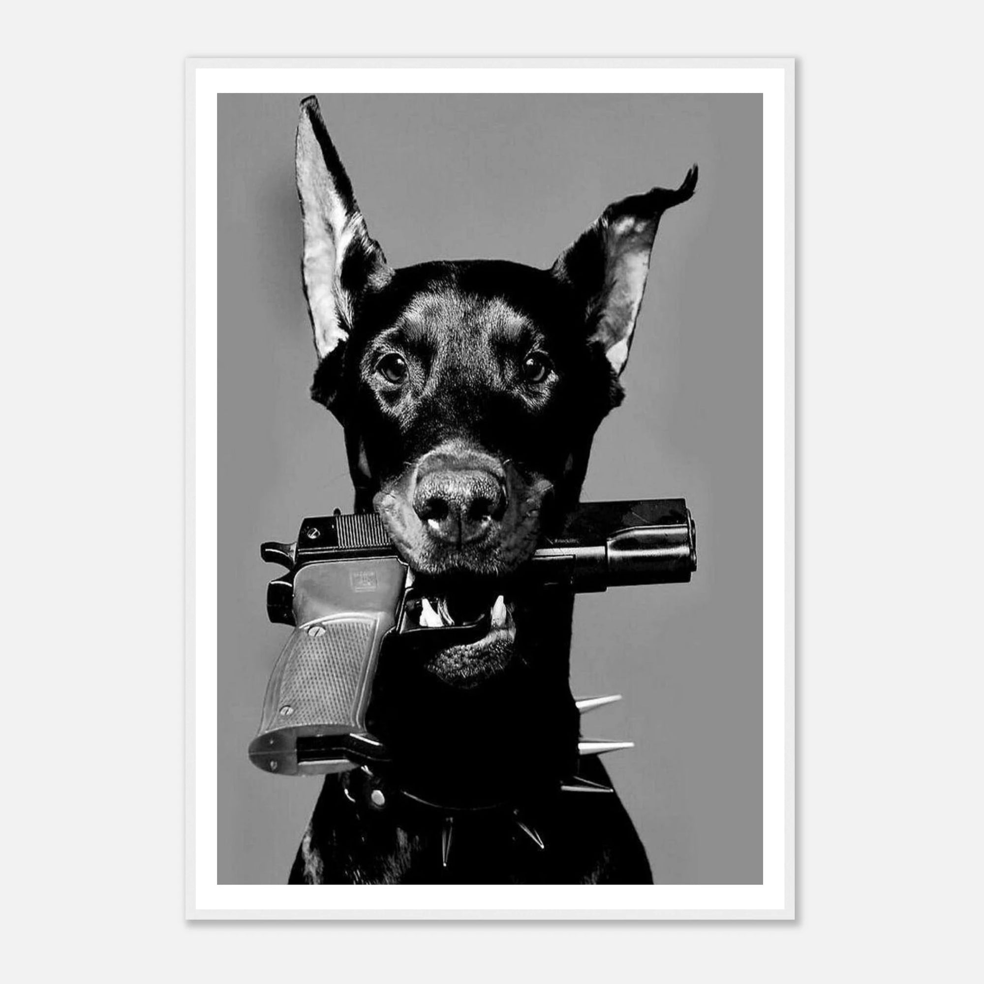 9b47e2de-3a0f-4032-b250-8d1a75c3f47f