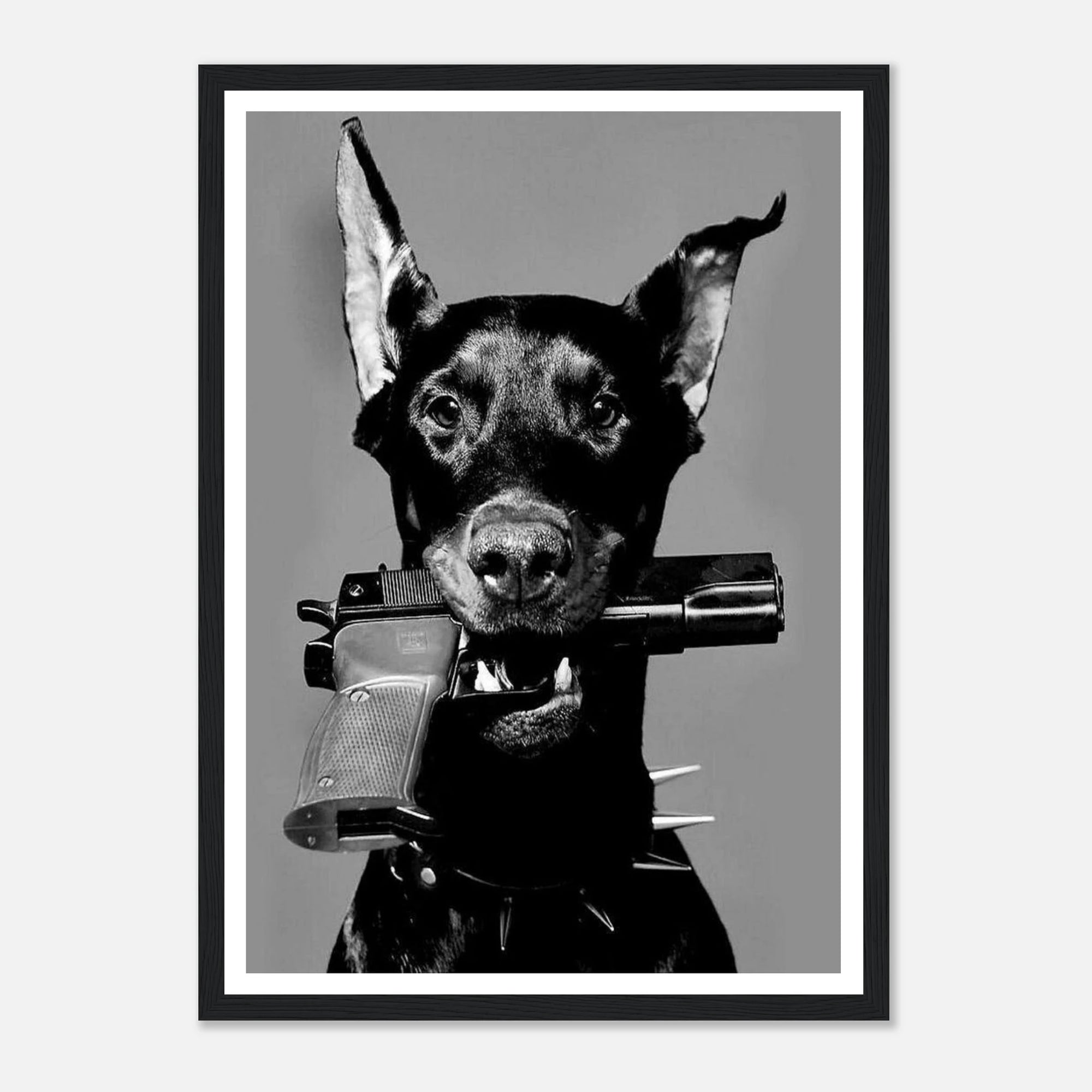 bb248513-db75-4c4f-b011-50bf37079d76