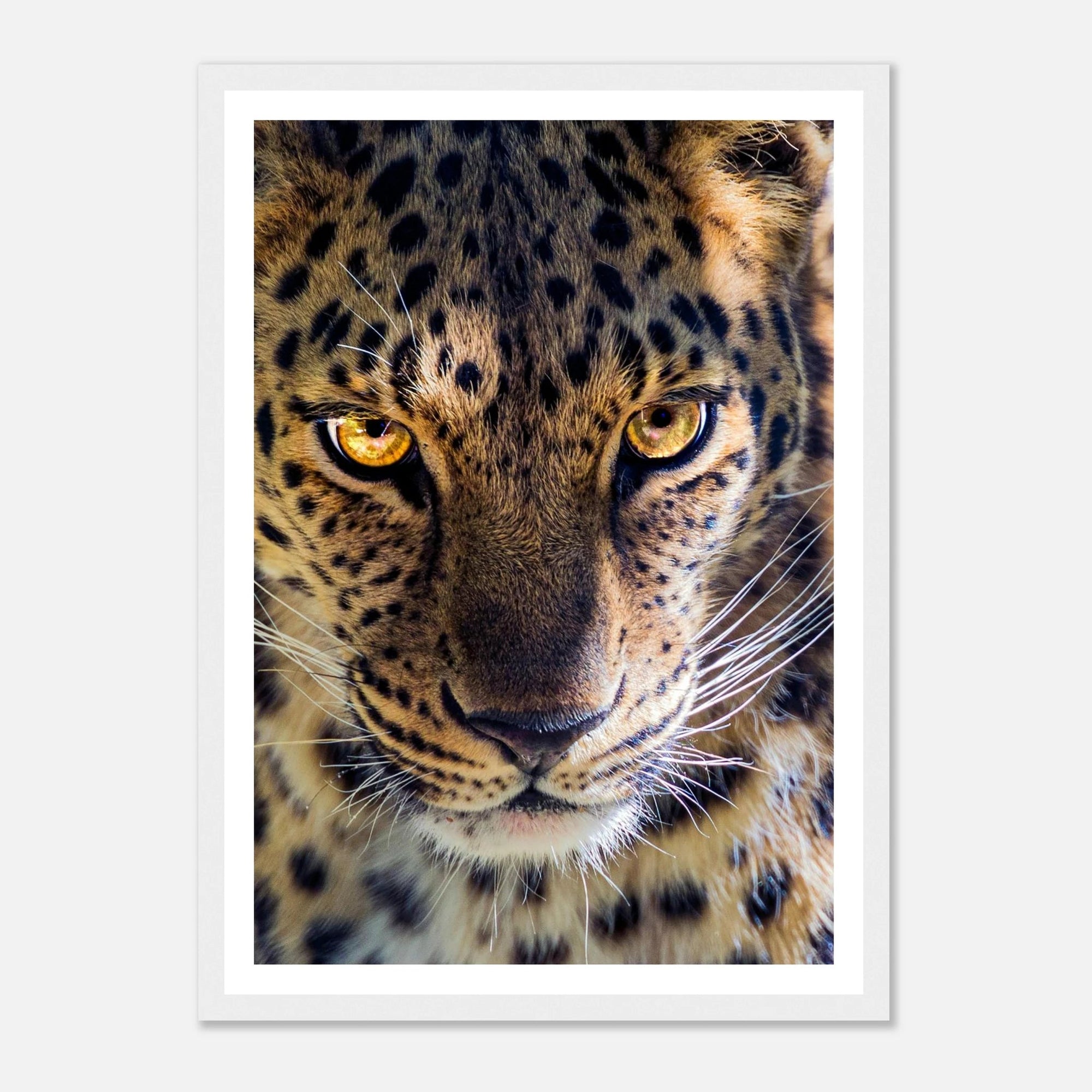 Fearless Leopard art frame poster - SKANDINAVER