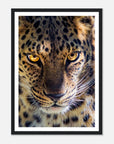 Fearless Leopard art frame poster - SKANDINAVER