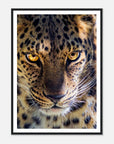 Fearless Leopard art frame poster - SKANDINAVER