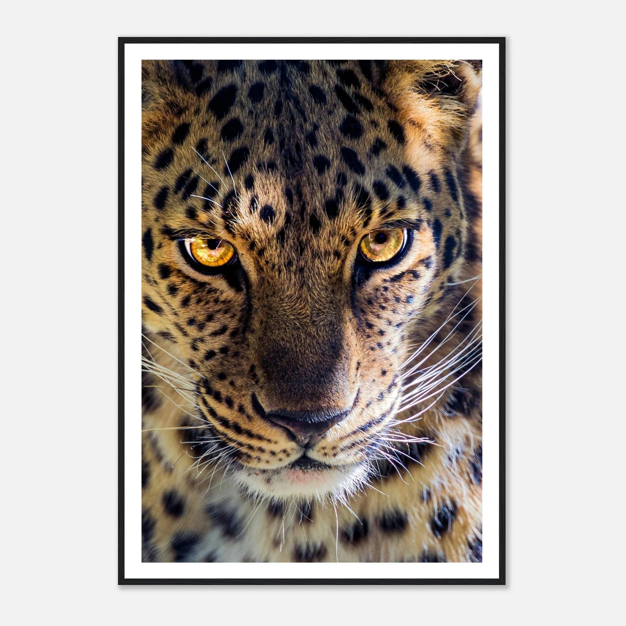 Fearless Leopard art frame poster - SKANDINAVER