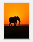 Sunset elephant art frame Poster - SKANDINAVER
