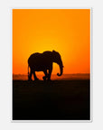 Sunset elephant art frame Poster - SKANDINAVER