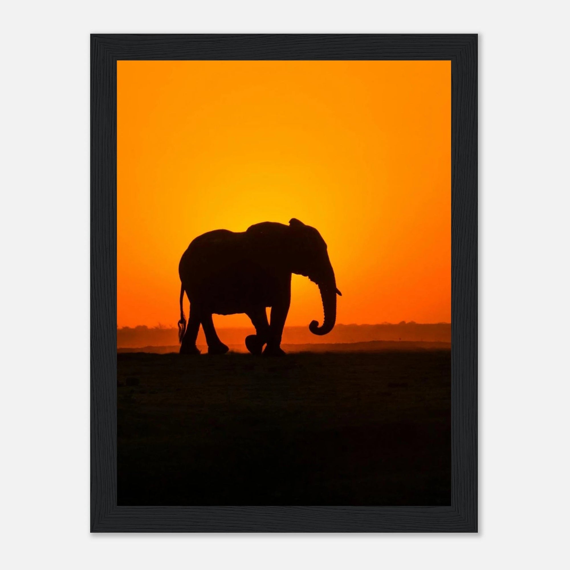 Sunset elephant art frame Poster - SKANDINAVER
