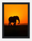 Sunset elephant art frame Poster - SKANDINAVER